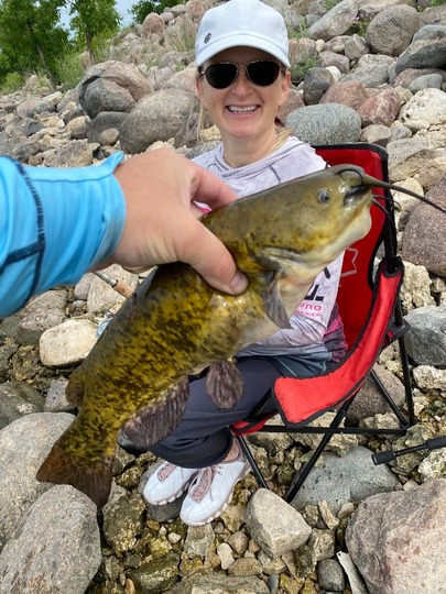 Bullhead