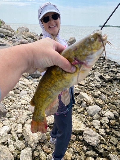 Bullhead