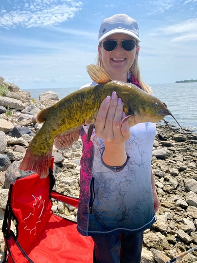 Bullhead