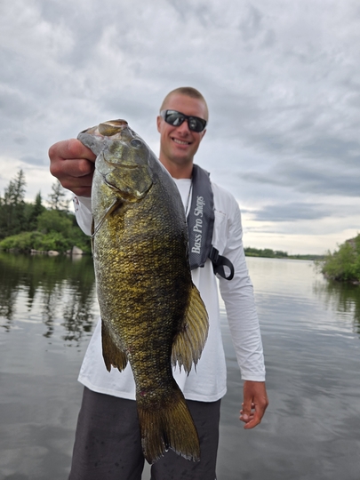 Smallmouth Bass