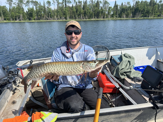 Muskellunge