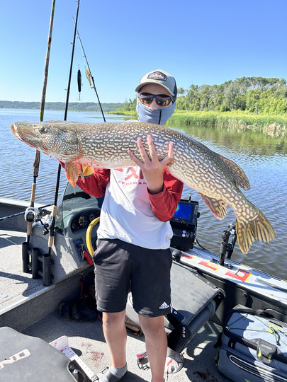 Northern Pike