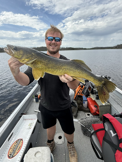 Walleye