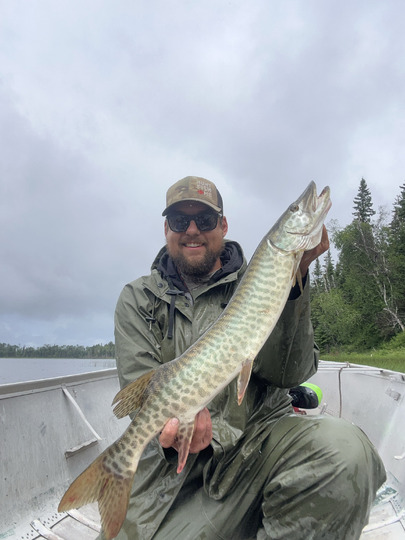 Muskellunge