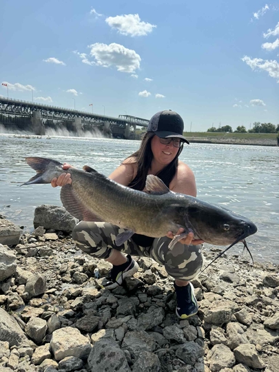 Channel Catfish
