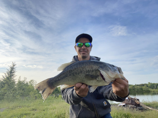 Largemouth Bass