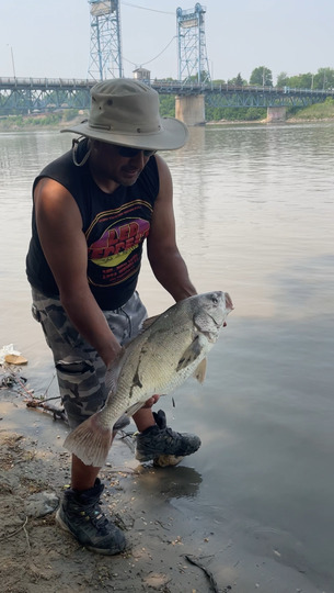 Freshwater Drum