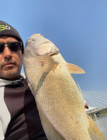 Freshwater Drum