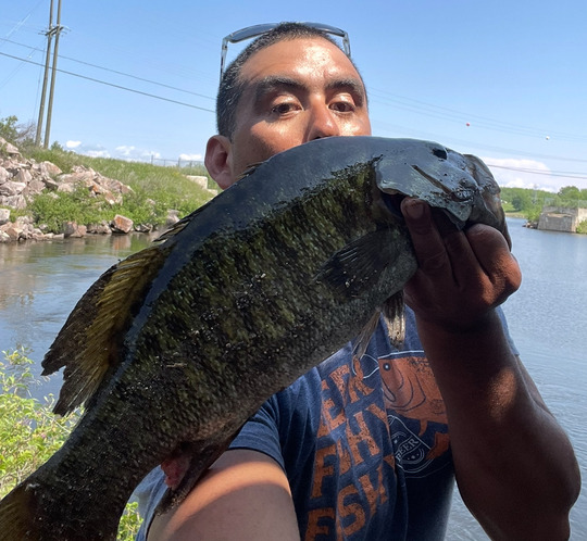 Smallmouth Bass