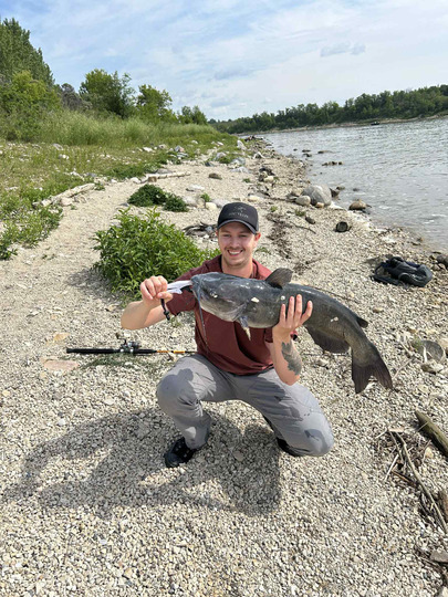 Channel Catfish