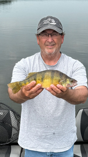 Yellow Perch