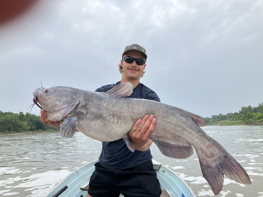 Channel Catfish