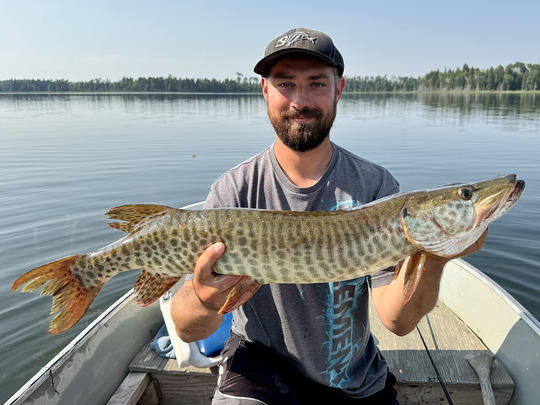 Muskellunge