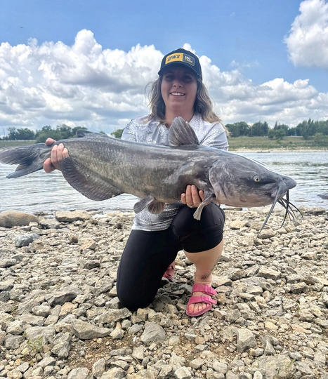 Channel Catfish