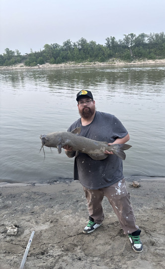 Channel Catfish