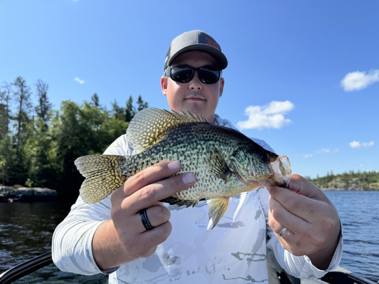 Black Crappie