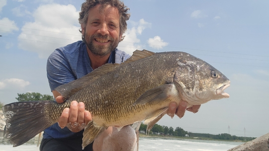 Freshwater Drum