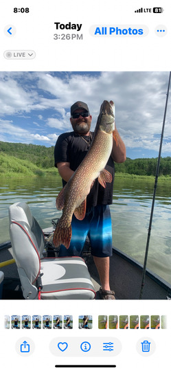 Northern Pike