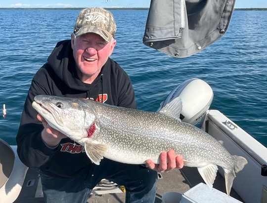 Lake Trout