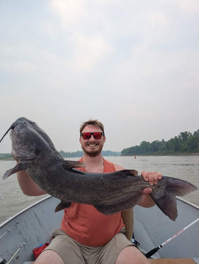Channel Catfish