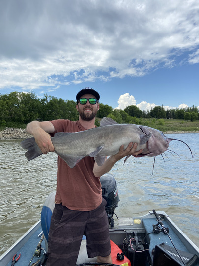 Channel Catfish