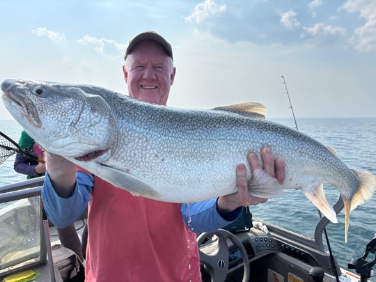 Lake Trout