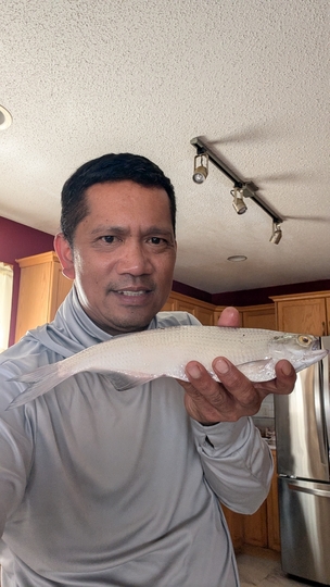 Goldeye