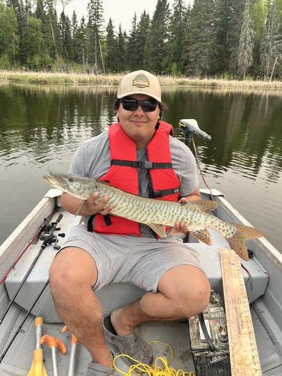 Muskellunge