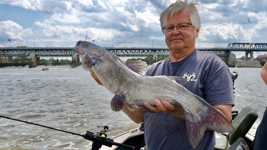 Channel Catfish