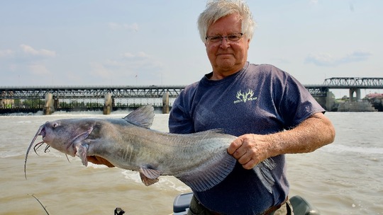 Channel Catfish