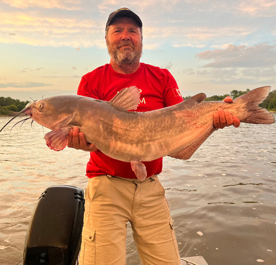 Channel Catfish