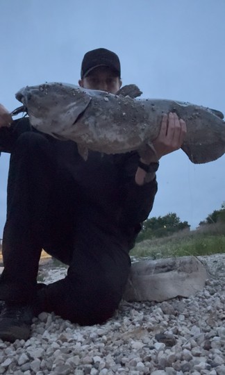 Channel Catfish