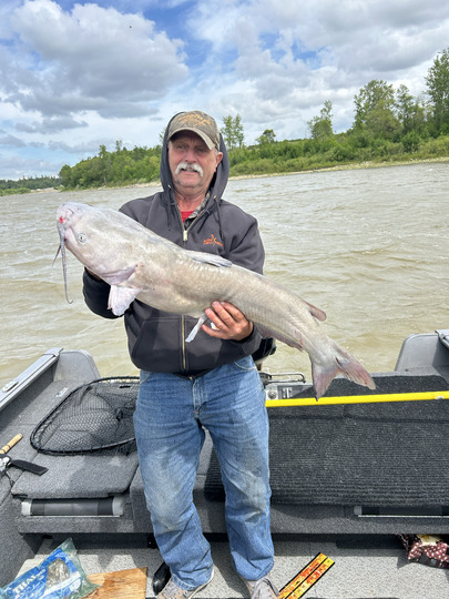 Channel Catfish