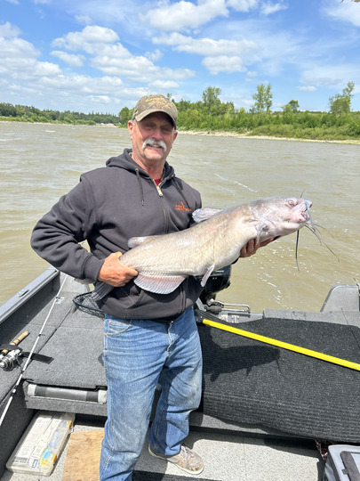 Channel Catfish