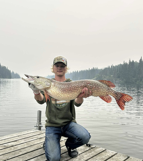 Northern Pike