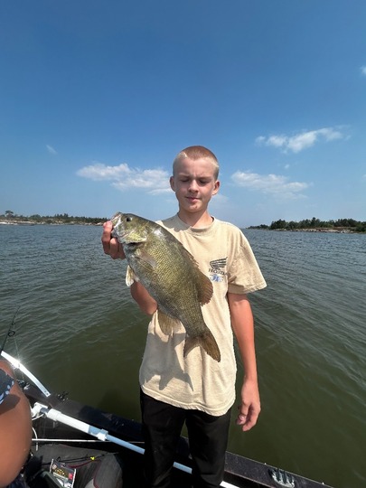 Smallmouth Bass