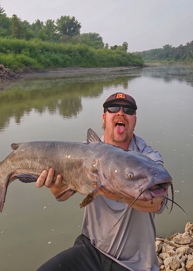 Channel Catfish