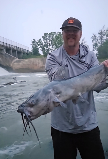Channel Catfish
