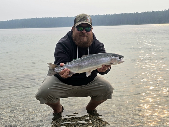 Rainbow Trout