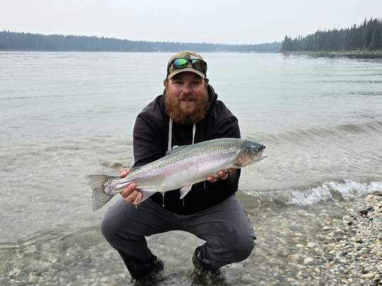 Rainbow Trout