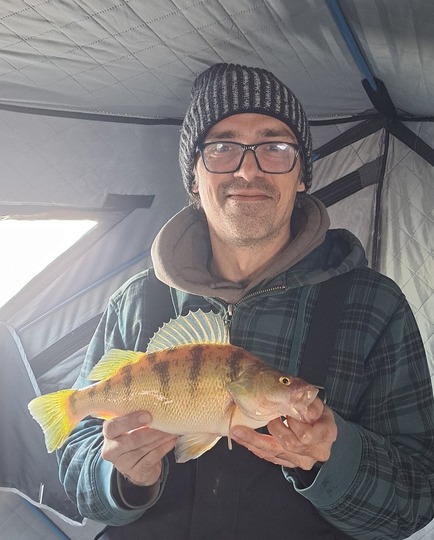 Yellow Perch