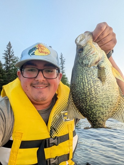 Black Crappie