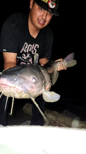 Channel Catfish