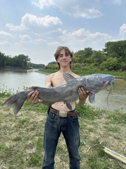 Channel Catfish