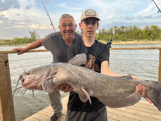 Channel Catfish