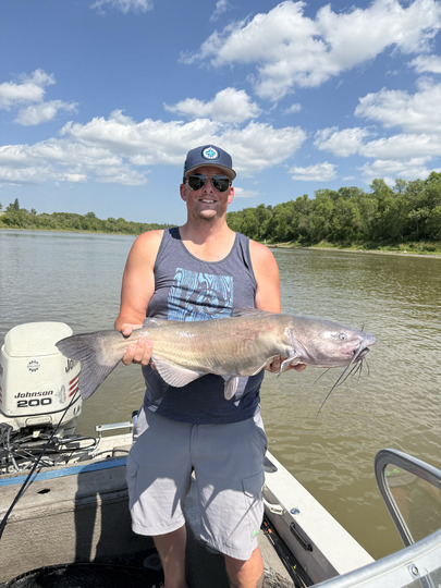 Channel Catfish