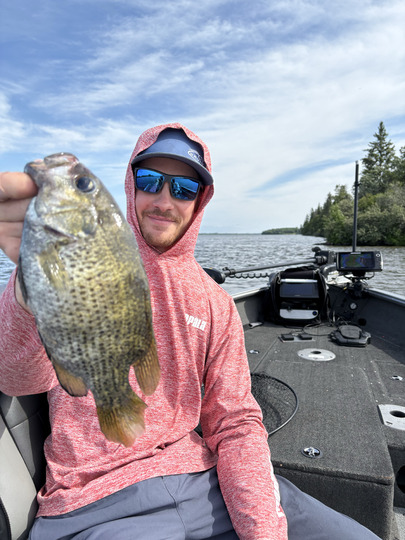 Rock Bass