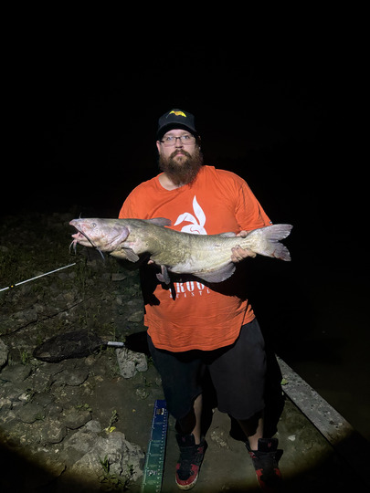 Channel Catfish