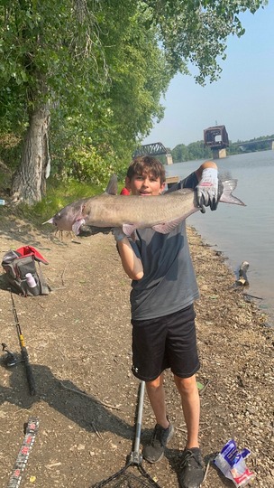 Channel Catfish