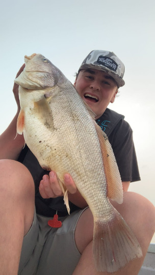 Freshwater Drum
